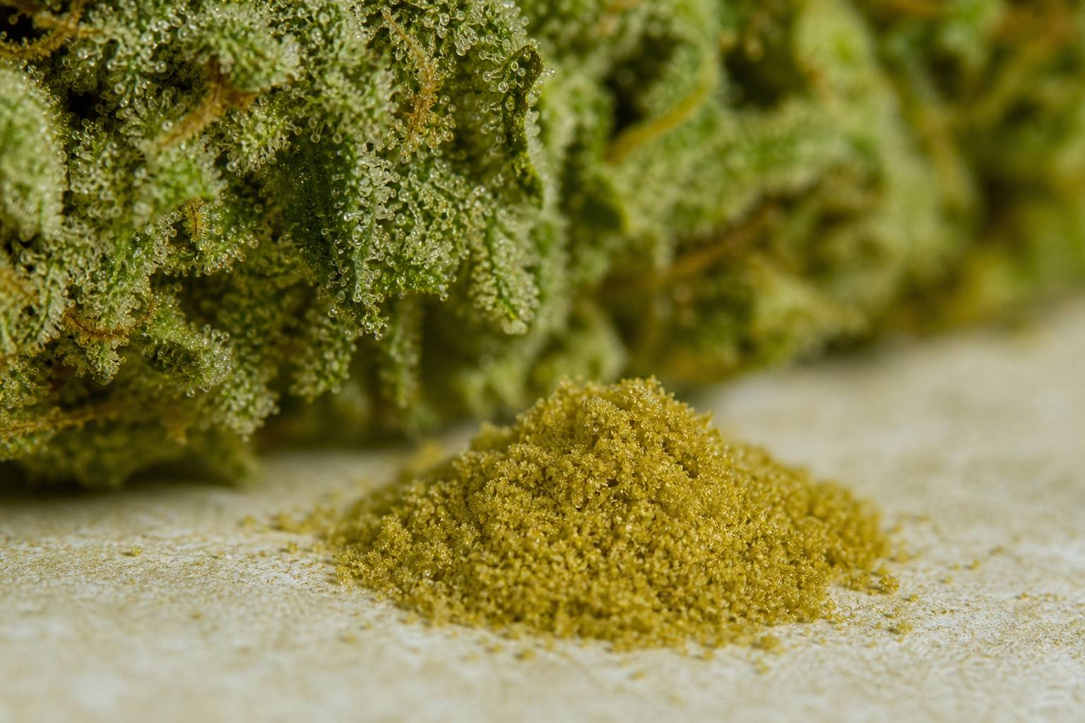 Qué es el kifi o kief: diferencias con polen, hachís y resina